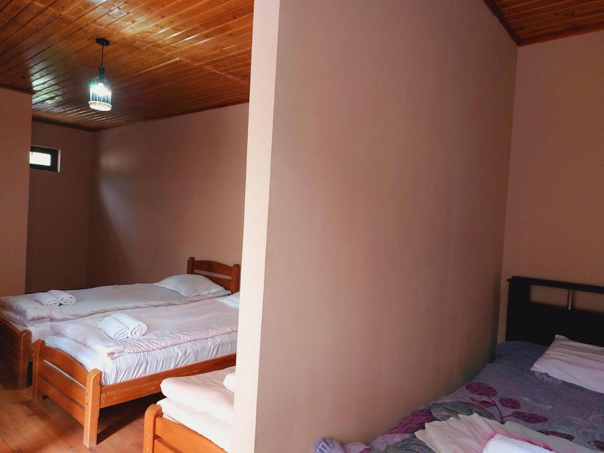 Guesthouse And Cottage Nicolo Stepancminda Zewnętrze zdjęcie
